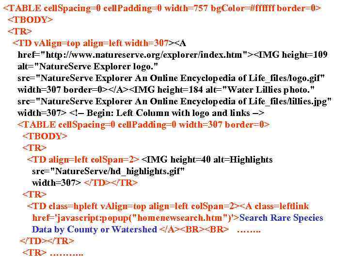 <TABLE cell. Spacing=0 cell. Padding=0 width=757 bg. Color=#ffffff border=0> <TBODY> <TR> <TD v. Align=top