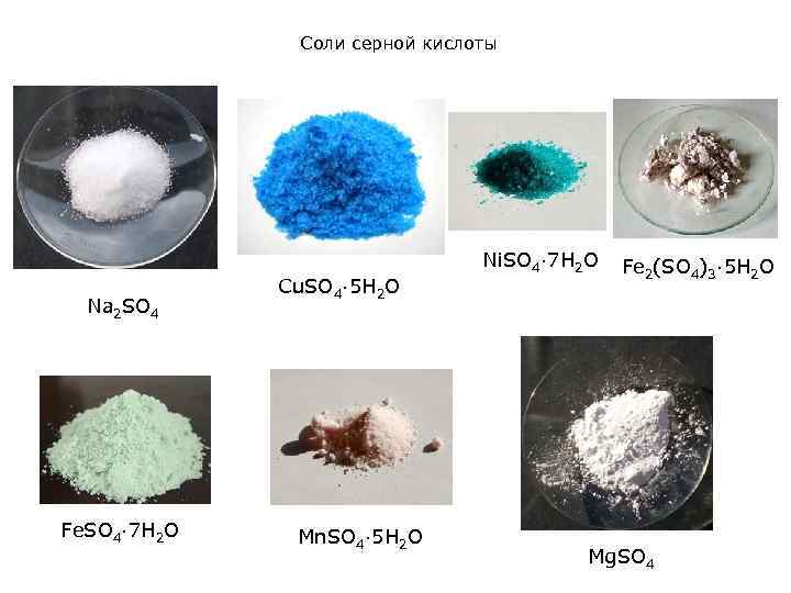 Соли серной кислоты Na 2 SO 4 Fe. SO 4· 7 H 2 O