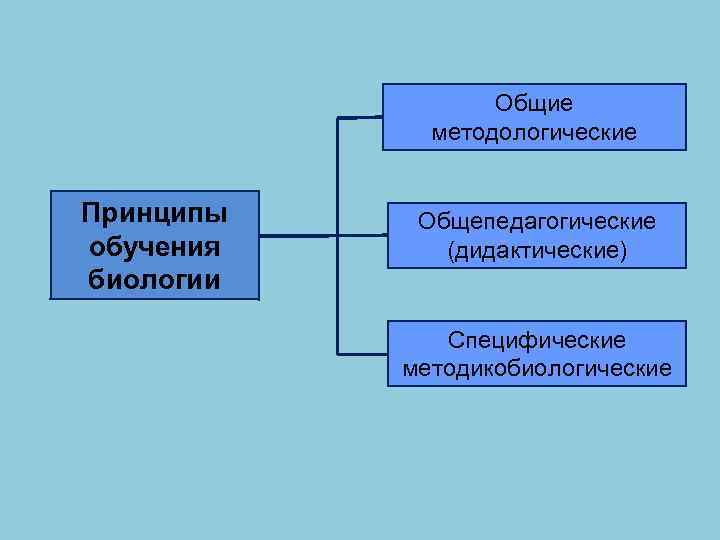 Общие методологические Принципы обучения биологии Общепедагогические (дидактические) Специфические методикобиологические 