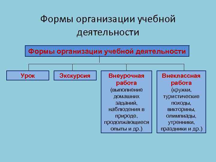 Формы организации учебной деятельности Урок Экскурсия Внеурочная работа Внеклассная работа (выполнение домашних заданий, наблюдения