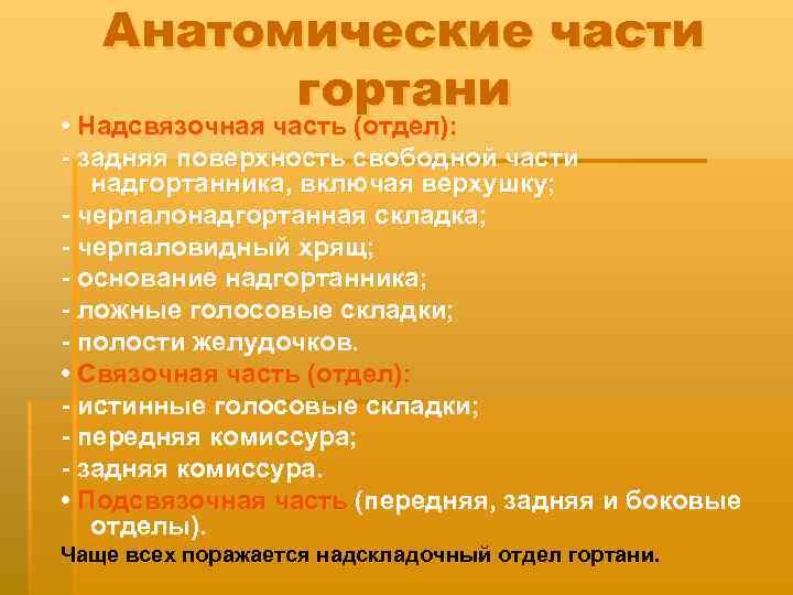 Анатомические части гортани • Надсвязочная часть (отдел): - задняя поверхность свободной части надгортанника, включая