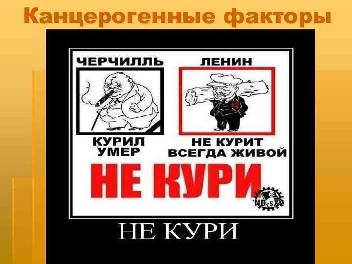 Канцерогенные факторы 