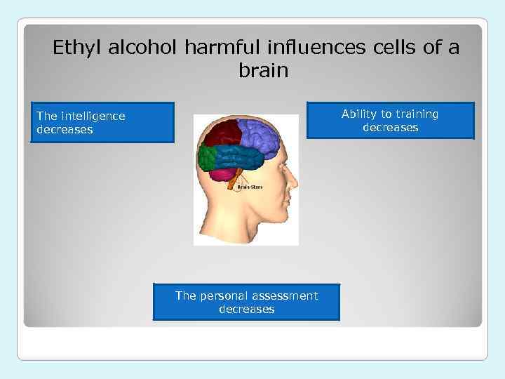 Ethyl alcohol harmful influences cells of a brain Ability to training decreases The intelligence
