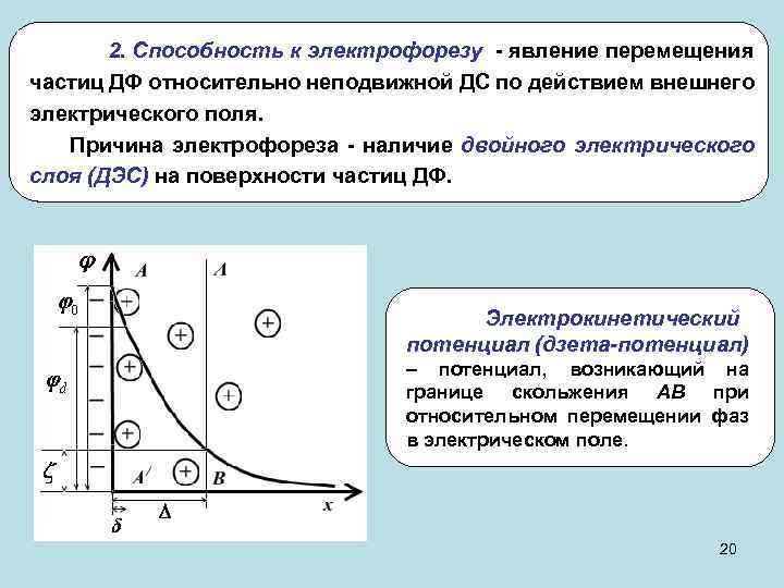 2. Способность к электрофорезу - явление перемещения частиц ДФ относительно неподвижной ДС по действием