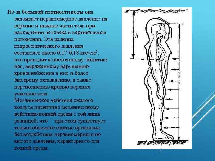 Из-за большой плотности воды она оказывает неравномерное давление на верхние и нижние части тела