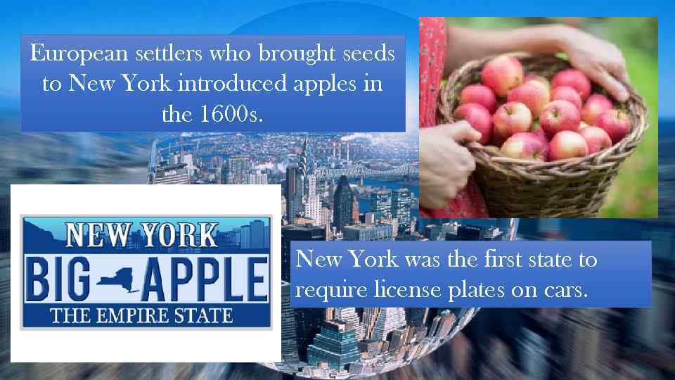 European settlers who brought seeds to New York introduced apples in the 1600 s.