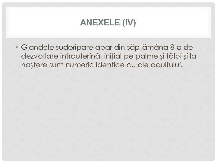 ANEXELE (IV) • Glandele sudoripare apar din săptămâna 8 -a de dezvoltare intrauterină, iniţial