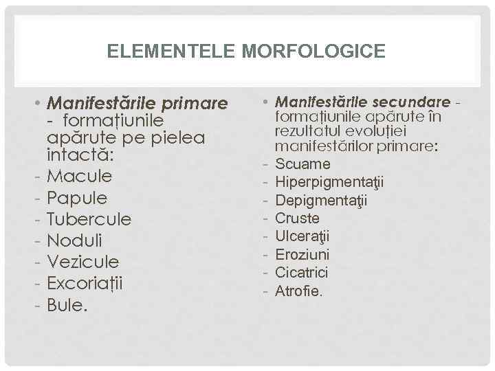 ELEMENTELE MORFOLOGICE • Manifestările primare - formaţiunile apărute pe pielea intactă: - Macule -