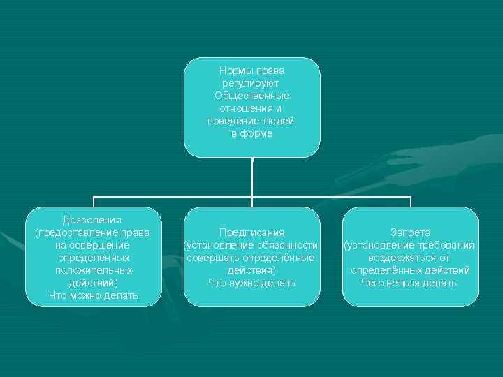 Нормы права регулируют Общественные отношения и поведение людей в форме Дозволения (предоставление права на