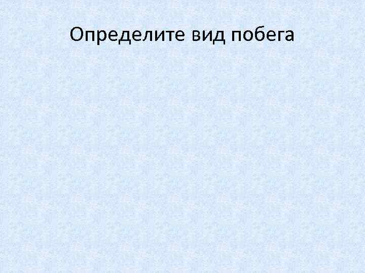 Определите вид побега 