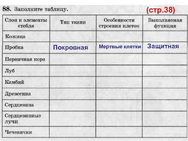 (стр. 38) Покровная Мертвые клетки Защитная 