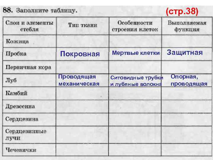 (стр. 38) Покровная Мертвые клетки Проводящая механическая Ситовидные трубки и лубяные волокна Защитная Опорная,