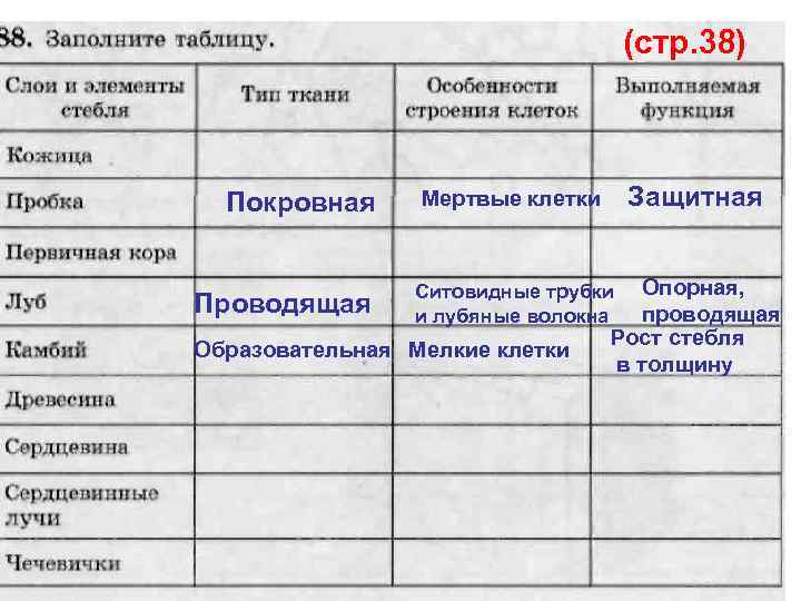 (стр. 38) Покровная Проводящая Защитная Мертвые клетки Опорная, проводящая Рост стебля в толщину Ситовидные