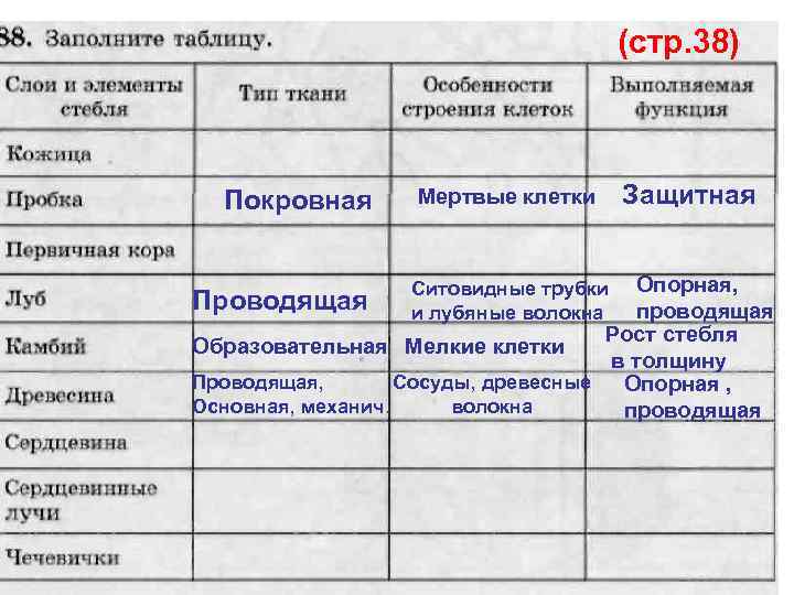 (стр. 38) Покровная Мертвые клетки Защитная Опорная, Проводящая проводящая Рост стебля Образовательная Мелкие клетки