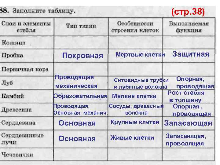 (стр. 38) Покровная Проводящая механическая Защитная Мертвые клетки Опорная, проводящая Рост стебля Образовательная Мелкие