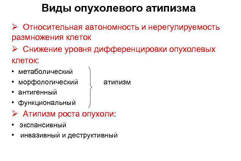 Виды опухолевого атипизма Ø Относительная автономность и нерегулируемость размножения клеток Ø Снижение уровня дифференцировки