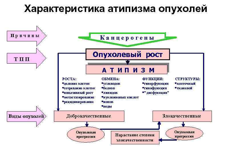 Характеристика атипизма опухолей Причины ТПП Канцерогены Опухолевый рост А Т И П И З