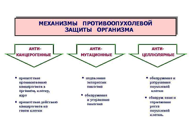 МЕХАНИЗМЫ ПРОТИВООПУХОЛЕВОЙ ЗАЩИТЫ ОРГАНИЗМА АНТИ- КАНЦЕРОГЕННЫЕ · препятствие проникновению канцерогенов в организм, клетку, ядро