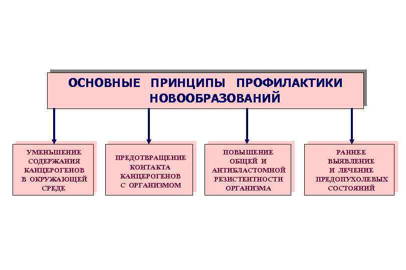 ОСНОВНЫЕ ПРИНЦИПЫ ПРОФИЛАКТИКИ НОВООБРАЗОВАНИЙ УМЕНЬШЕНИЕ СОДЕРЖАНИЯ КАНЦЕРОГЕНОВ В ОКРУЖАЮЩЕЙ СРЕДЕ ПРЕДОТВРАЩЕНИЕ КОНТАКТА КАНЦЕРОГЕНОВ С