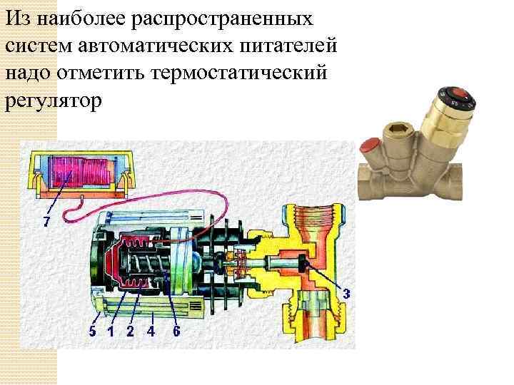 Из наиболее распространенных систем автоматических питателей надо отметить термостатический регулятор 