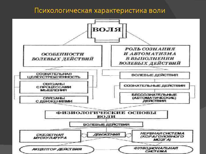 Психологическая характеристика воли 