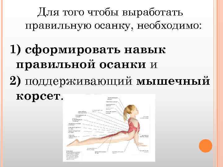 Для того чтобы выработать правильную осанку, необходимо: 1) сформировать навык правильной осанки и 2)