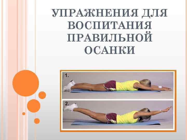 УПРАЖНЕНИЯ ДЛЯ ВОСПИТАНИЯ ПРАВИЛЬНОЙ ОСАНКИ 