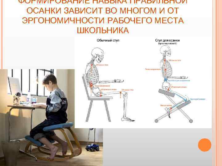 ФОРМИРОВАНИЕ НАВЫКА ПРАВИЛЬНОЙ ОСАНКИ ЗАВИСИТ ВО МНОГОМ И ОТ ЭРГОНОМИЧНОСТИ РАБОЧЕГО МЕСТА ШКОЛЬНИКА 