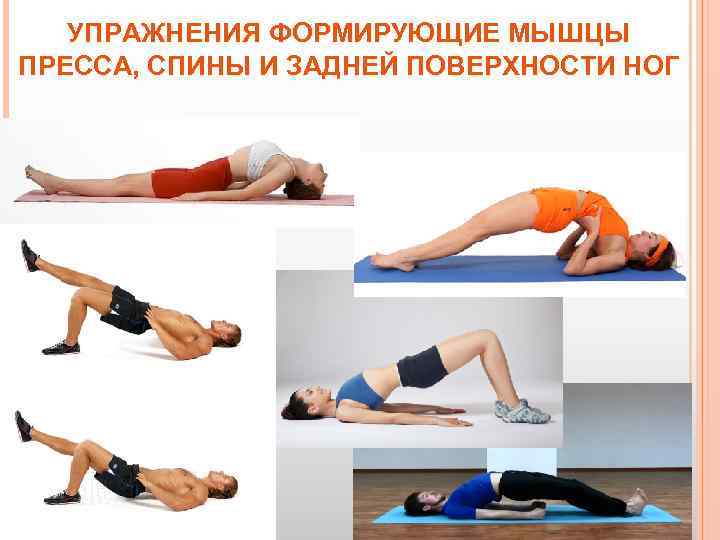 УПРАЖНЕНИЯ ФОРМИРУЮЩИЕ МЫШЦЫ ПРЕССА, СПИНЫ И ЗАДНЕЙ ПОВЕРХНОСТИ НОГ 