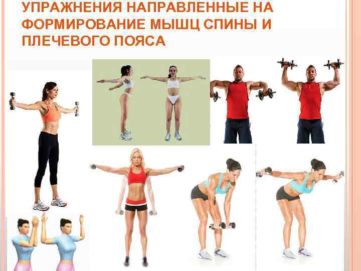 УПРАЖНЕНИЯ НАПРАВЛЕННЫЕ НА ФОРМИРОВАНИЕ МЫШЦ СПИНЫ И ПЛЕЧЕВОГО ПОЯСА 