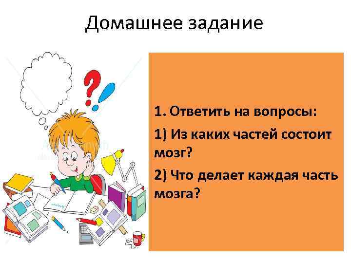 Домашнее задание 1. Ответить на вопросы: 1) Из каких частей состоит мозг? 2) Что