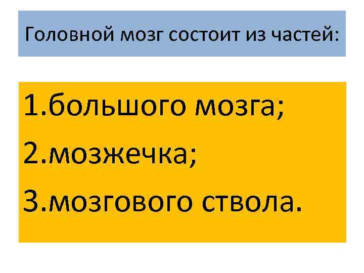 Головной мозг состоит из частей: 1. большого мозга; 2. мозжечка; 3. мозгового ствола. 