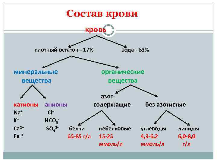 Составьте графологическую схему состав крови