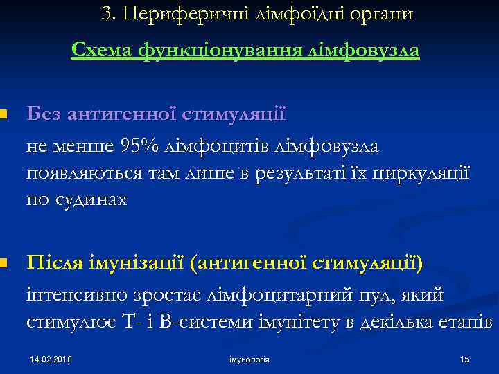 3. Периферичні лімфоїдні органи Схема функціонування лімфовузла n Без антигенної стимуляції не менше 95%