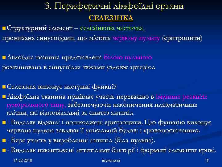 3. Периферичні лімфоїдні органи СЕЛЕЗІНКА n Структурний елемент – селезінкова часточка, пронизана синусоїдами, що