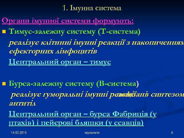 1. Імунна система Органи імунної системи формують: n Тимус-залежну систему (Т-система) реалізує клітинні імунні