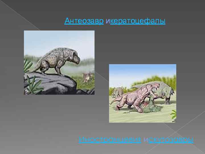 Антеозавр икератоцефалы Иностранцевия искутозавры 