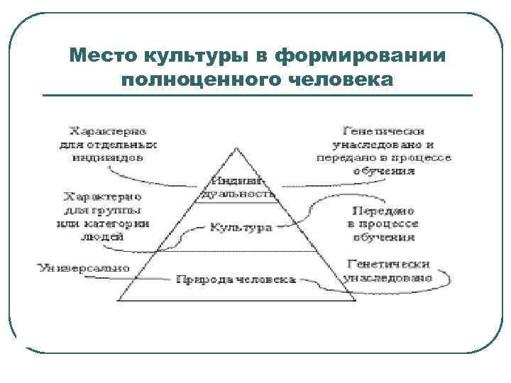 Место культуры в формировании полноценного человека 