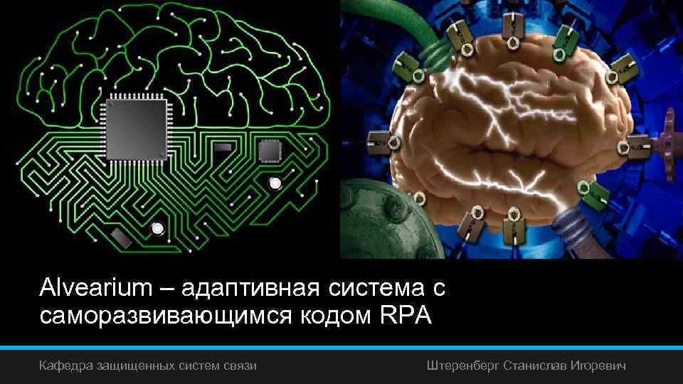 Alvearium – адаптивная система с саморазвивающимся кодом RPA Кафедра защищенных систем связи Штеренберг Станислав