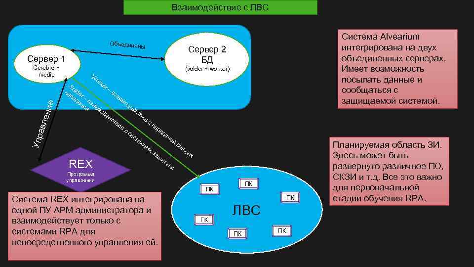 Взаимодействие с ЛВС Объединен ы Сервер 1 Упр а вле н ие Cerebro +