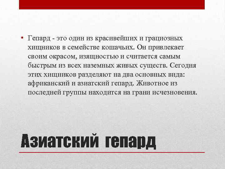  • Гепард - это один из красивейших и грациозных хищников в семействе кошачьих.