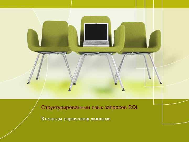 Структурированный язык запросов SQL Команды управления данными 