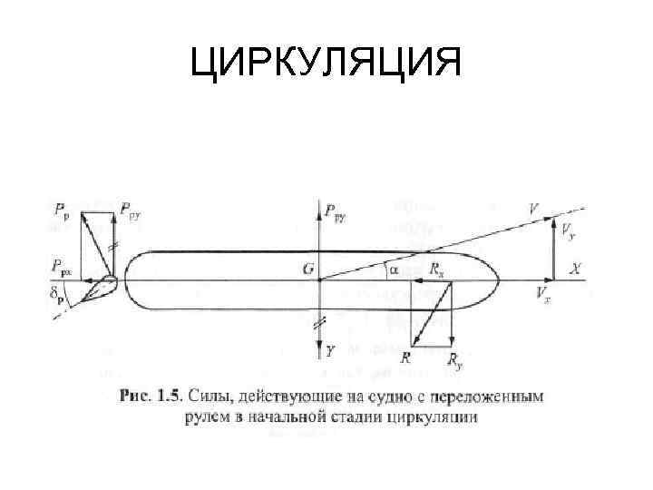 ЦИРКУЛЯЦИЯ 