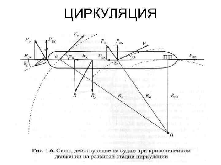 ЦИРКУЛЯЦИЯ 