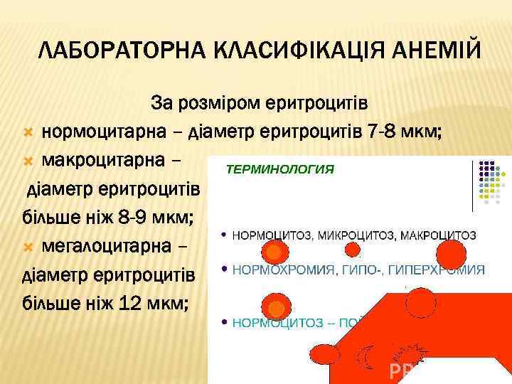 ЛАБОРАТОРНА КЛАСИФІКАЦІЯ АНЕМІЙ За розміром еритроцитів нормоцитарна – діаметр еритроцитів 7 -8 мкм; макроцитарна