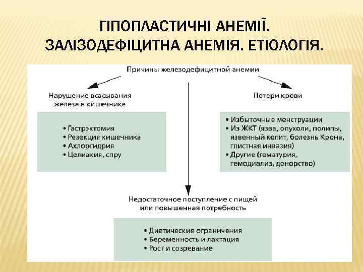 ГІПОПЛАСТИЧНІ АНЕМІЇ. ЗАЛІЗОДЕФІЦИТНА АНЕМІЯ. ЕТІОЛОГІЯ. 