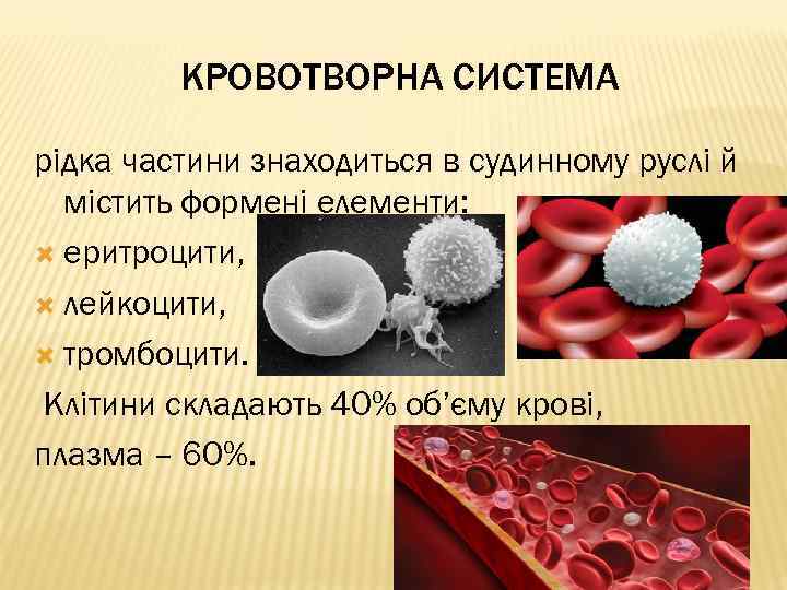 КРОВОТВОРНА СИСТЕМА рідка частини знаходиться в судинному руслі й містить формені елементи: еритроцити, лейкоцити,