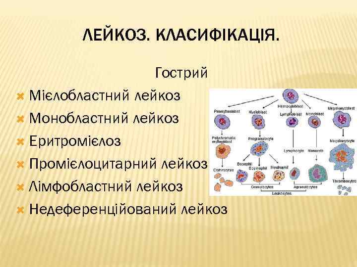 ЛЕЙКОЗ. КЛАСИФІКАЦІЯ. Гострий Мієлобластний лейкоз Монобластний лейкоз Еритромієлоз Промієлоцитарний лейкоз Лімфобластний лейкоз Недеференційований лейкоз
