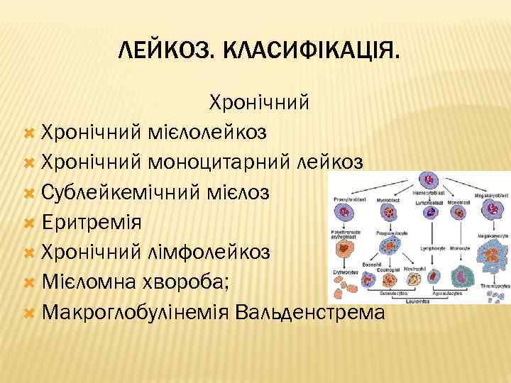 ЛЕЙКОЗ. КЛАСИФІКАЦІЯ. Хронічний мієлолейкоз Хронічний моноцитарний лейкоз Сублейкемічний мієлоз Еритремія Хронічний лімфолейкоз Мієломна хвороба;