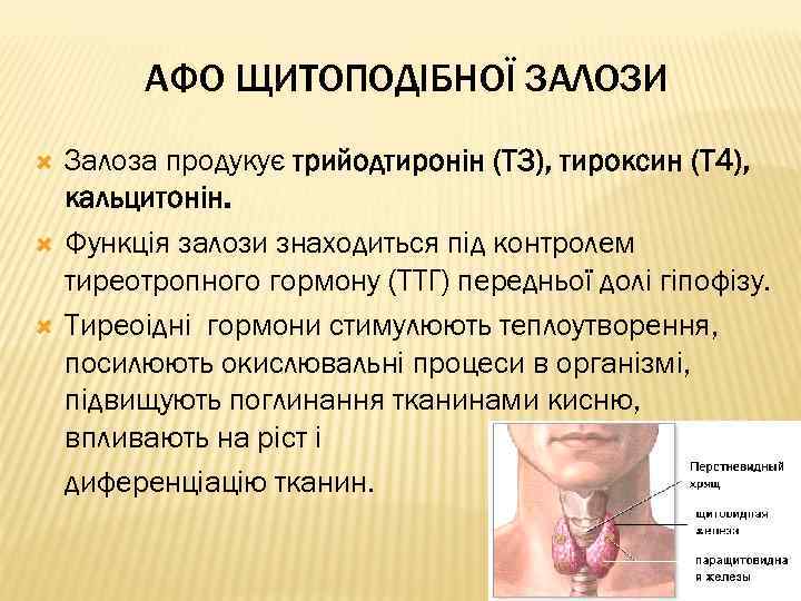 АФО ЩИТОПОДІБНОЇ ЗАЛОЗИ Залоза продукує трийодтиронін (Т 3), тироксин (Т 4), кальцитонін. Функція залози